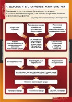 Комплект таблиц. ОБЖ. Здоровый образ жизни. - fgospostavki.ru - Первоуральск