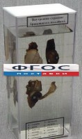 Влажный препарат "Внутреннее строение брюхоногого моллюска" - fgospostavki.ru - Первоуральск