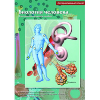Интерактивные плакаты. Биология человека. Программно-методический комплекс - fgospostavki.ru - Первоуральск