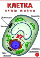 DVD "Клетка - "атом жизни" - fgospostavki.ru - Первоуральск