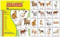 Демонстрационные карточки "Домашние животные" - fgospostavki.ru - Первоуральск