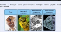 Интерактивные курсы. Биология 5 класс. Расширенный - fgospostavki.ru - Первоуральск