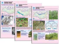 Комплект таблиц по географии "Природные зоны России" раздаточные (цветные, ламинированные, А4, 10 штук) - fgospostavki.ru - Первоуральск