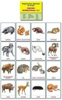 Раздаточные карточки "Дикие животные (1)" - fgospostavki.ru - Первоуральск