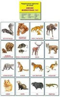 Раздаточные карточки "Дикие животные (2)" - fgospostavki.ru - Первоуральск