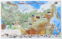Магнитные карточки "Животные" - fgospostavki.ru - Первоуральск