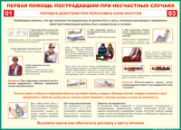Таблица "Порядок действий при переломах конечностей" (100х140 сантиметров, винил) - fgospostavki.ru - Первоуральск