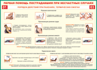 Таблица "Порядок действий при ранениях и термических ожогах" (100х140 сантиметров, винил) - fgospostavki.ru - Первоуральск