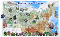 Магнитные карточки "Растения" - fgospostavki.ru - Первоуральск
