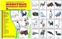 Демонстрационные карточки "Животные холодных широт" - fgospostavki.ru - Первоуральск