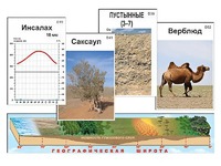 Модель-аппликация "Природные зоны" - fgospostavki.ru - Первоуральск