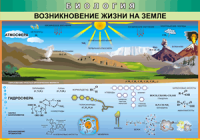 Таблица "Возникновение жизни на земле" (100х140 сантиметров, винил) - fgospostavki.ru - Первоуральск