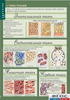 Комплект таблиц. Биология 8-9 класс. Человек. - fgospostavki.ru - Первоуральск
