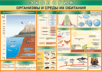Таблица "Организмы и среды их обитания" (100х140 сантиметров, винил) - fgospostavki.ru - Первоуральск