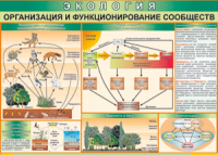 Таблица "Организация и функционирование сообществ" (100х140 сантиметров, винил) - fgospostavki.ru - Первоуральск