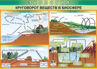 Таблица "Круговорот веществ в биосфере" (100х140 сантиметров, винил) - fgospostavki.ru - Первоуральск