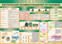 Таблица "Биотические взаимоотношения организмов" (100х140 сантиметров, винил) - fgospostavki.ru - Первоуральск