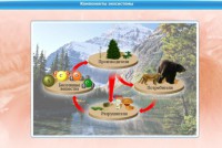 Интерактивные курсы. Биология 7 класс. Базовый. - fgospostavki.ru - Первоуральск