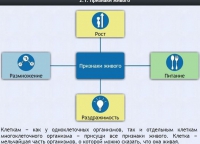 Интерактивные курсы. Биология 5 класс. Базовый - fgospostavki.ru - Первоуральск