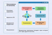 Интерактивные курсы. Информатика 10 класс . Базовый. - fgospostavki.ru - Первоуральск