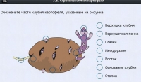 Интерактивные курсы. Биология 6 класс. Расширенный - fgospostavki.ru - Первоуральск