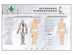 Электрифицированный стенд "Остановка кровотечения" - fgospostavki.ru - Первоуральск