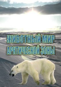 DVD "Животный мир Арктической зоны" - fgospostavki.ru - Первоуральск