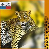 Зоология. (Цифровая база изображений) - fgospostavki.ru - Первоуральск