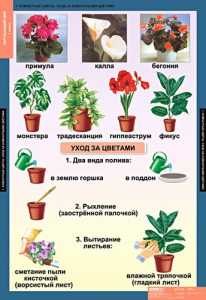 Комплект таблиц. Окружающий мир 1 класс. - fgospostavki.ru - Первоуральск