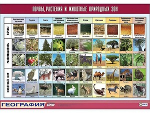 Таблица демонстрационная "Почвы, растения и животные природных зон" (винил 100*140) - fgospostavki.ru - Первоуральск
