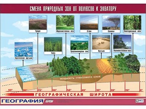 Таблица демонстрационная "Смена природных зон от полюсов к экватору" (винил 100*140) - fgospostavki.ru - Первоуральск