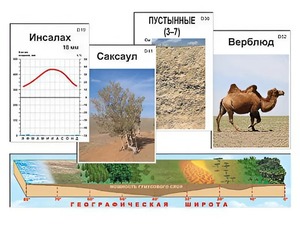 Модель-аппликация "Природные зоны" - fgospostavki.ru - Первоуральск