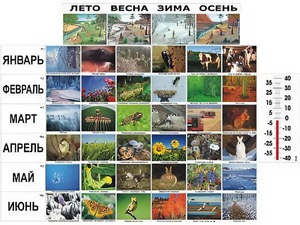 Фенологические наблюдения - fgospostavki.ru - Первоуральск