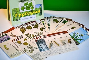 Гербарий к курсу основ общей биологии - fgospostavki.ru - Первоуральск