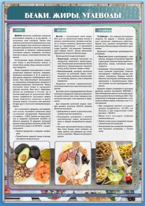 Стенд "Белки. Жиры. Углеводы" - fgospostavki.ru - Первоуральск
