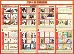 Стенд "Личная гигиена" - fgospostavki.ru - Первоуральск