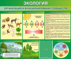 Стенд "Экология. Организация и функционирование сообществ" - fgospostavki.ru - Первоуральск