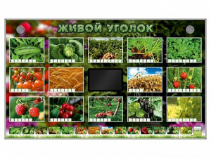 Комплект оборудования "Живой уголок" (растения) - fgospostavki.ru - Первоуральск