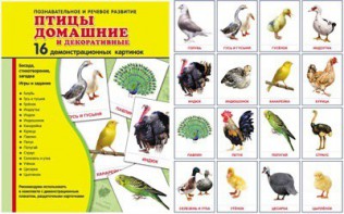Демонстрационные карточки "Птицы домашние и декоративные" - fgospostavki.ru - Первоуральск