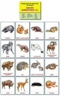 Раздаточные карточки "Дикие животные (1)" - fgospostavki.ru - Первоуральск