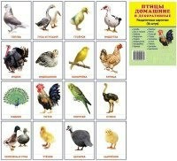 Раздаточные карточки "Птицы домашние и декоративные" - fgospostavki.ru - Первоуральск