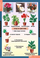Комплект таблиц. Окружающий мир 1 класс. - fgospostavki.ru - Первоуральск