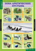 Комплект таблиц. Окружающий мир 4 класс. - fgospostavki.ru - Первоуральск