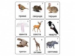 Набор магнитных карточек по музыке "Животные" (9 штук) - fgospostavki.ru - Первоуральск