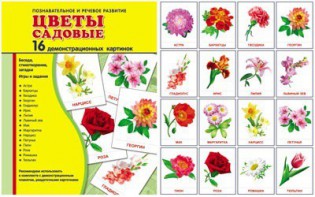 Демонстрационные карточки "Цветы садовые" - fgospostavki.ru - Первоуральск