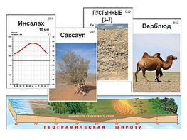 Модель-аппликация "Природные зоны" - fgospostavki.ru - Первоуральск