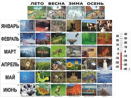 Фенологические наблюдения - fgospostavki.ru - Первоуральск