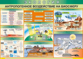 Таблица "Антропогенное воздействие на биосферу" (100х140 сантиметров, винил) - fgospostavki.ru - Первоуральск