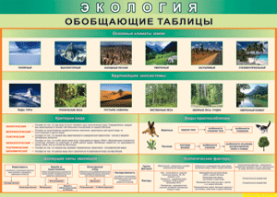 Таблица "Экология. Обобщающие таблицы" (100х140 сантиметров, винил) - fgospostavki.ru - Первоуральск