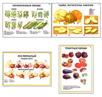 Плакаты ПРОФТЕХ "Ассортимент овощных культур" (12 пл, винил, 70х100) - fgospostavki.ru - Первоуральск
